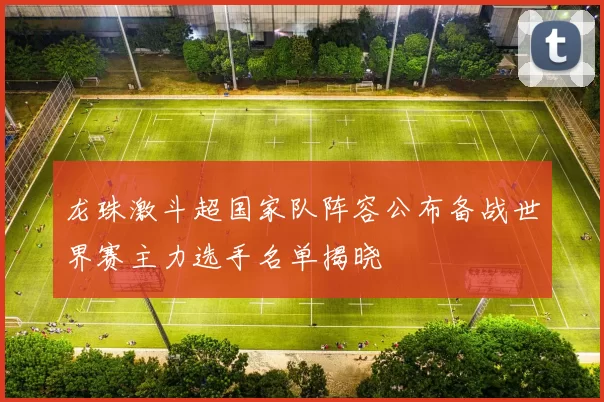 龙珠激斗超国家队阵容公布备战世界赛主力选手名单揭晓